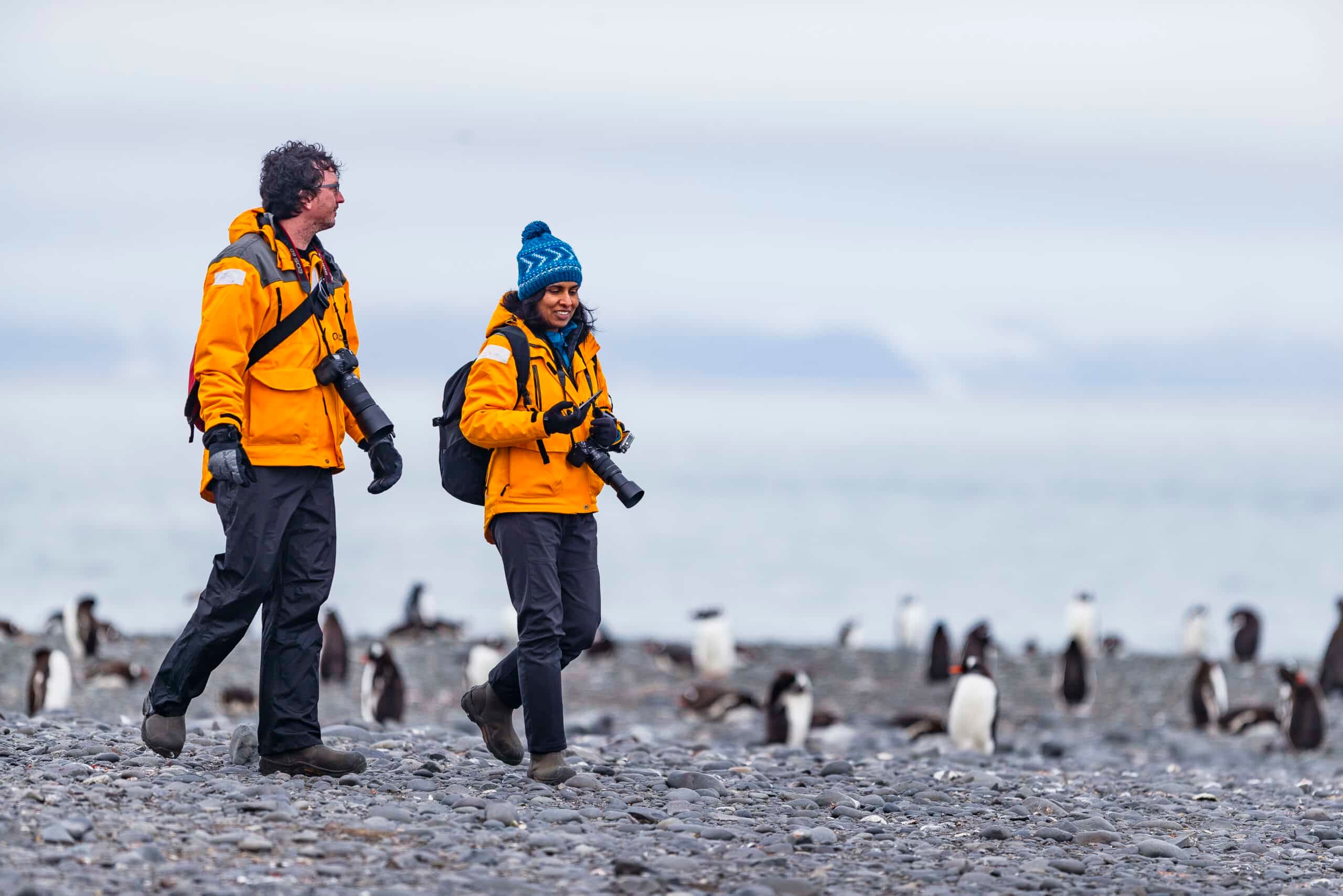 antartica_photography