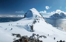 swan antarctica cover