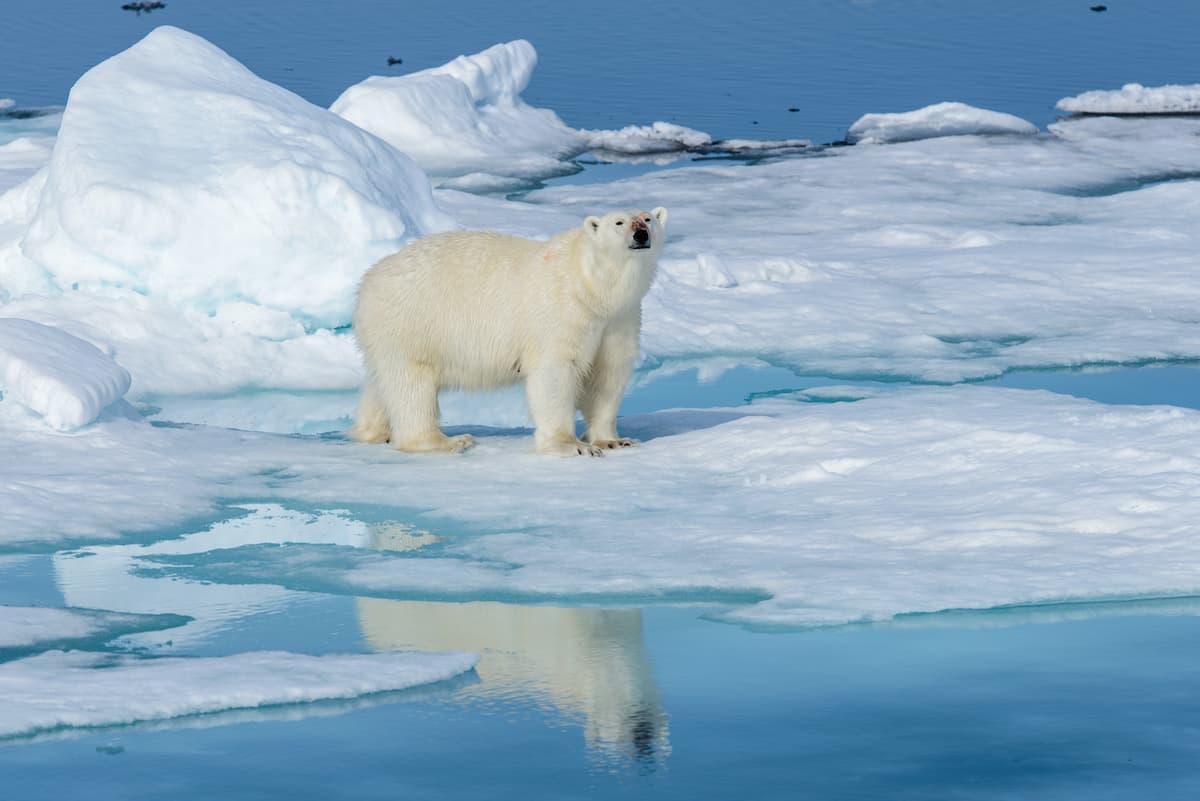 Arctic_explore_experience_4
