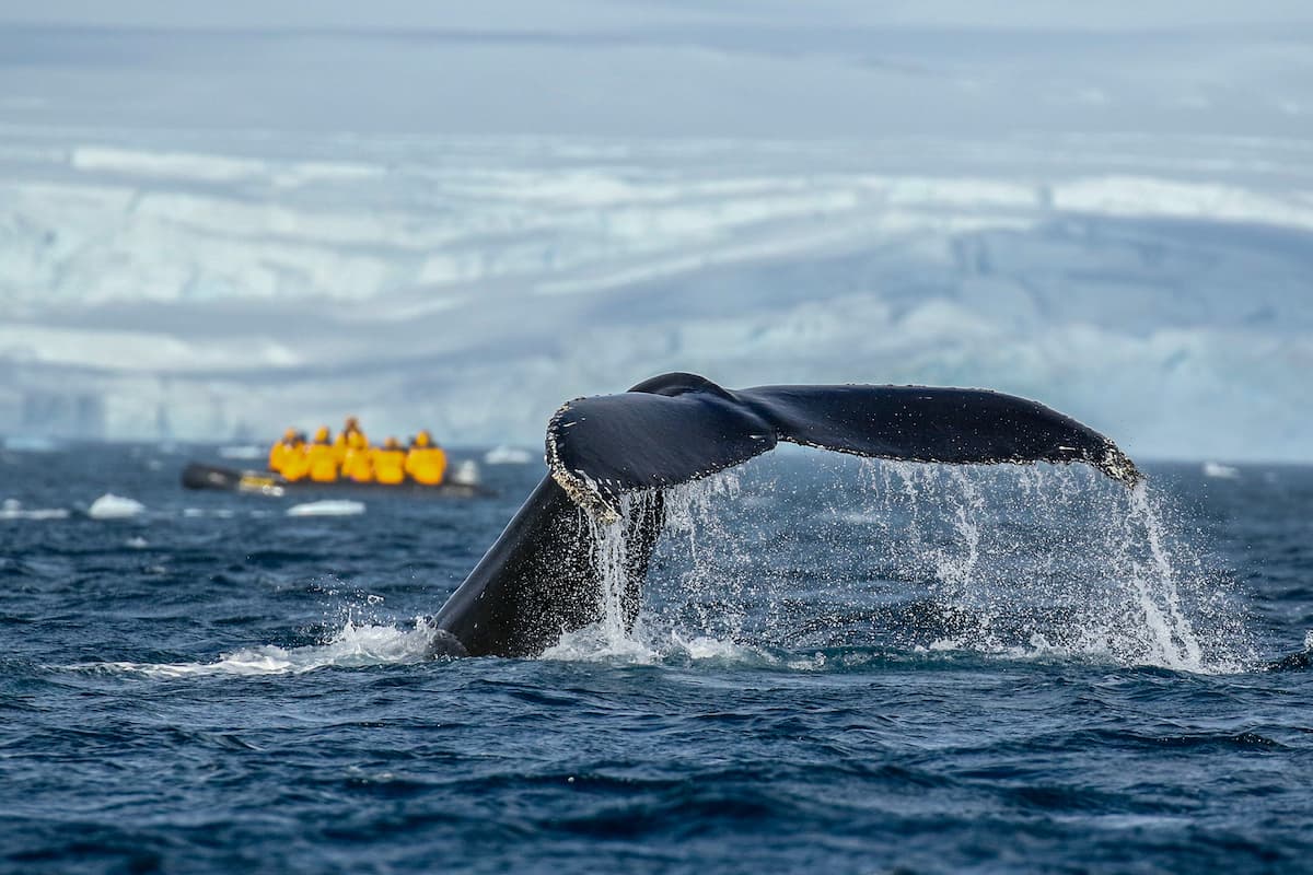 Antarctica_explore_10
