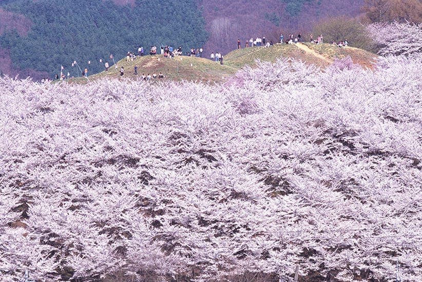 image (2) (1)