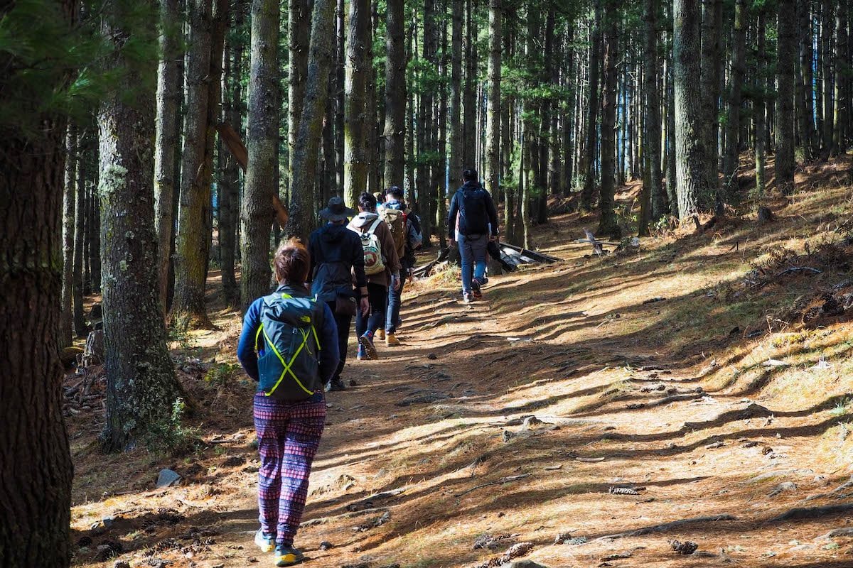 Bhutan Tsechu Festival, Trekking & Camping