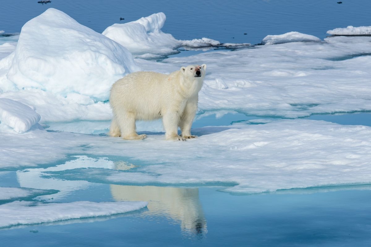 Hong Kong Arctic Cruise Operator Comparison: Analysing Differences in Routes, Destinations & Itinerary Design