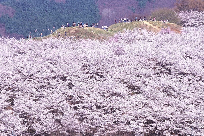 image (2) (1)