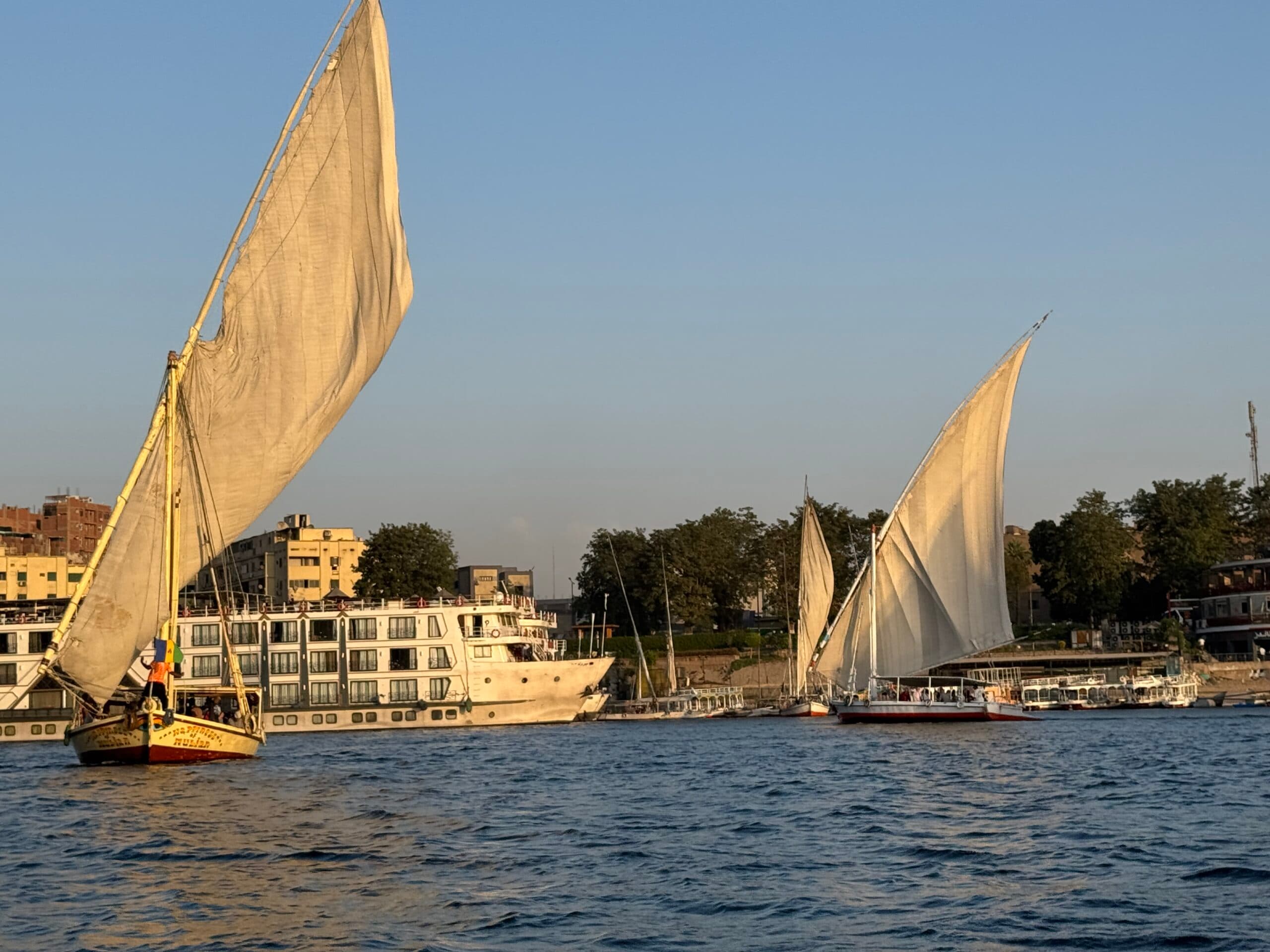Felucca Ride