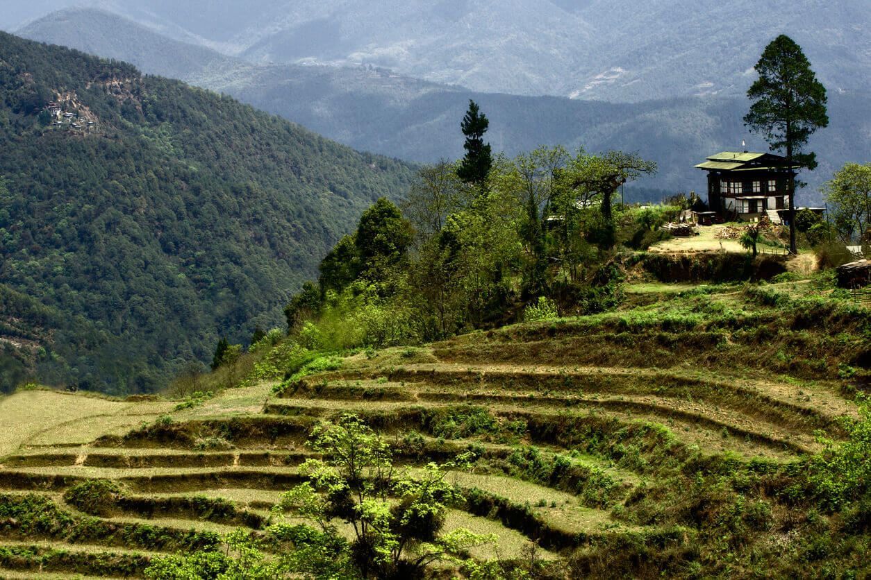 羅具沙村 Lobesa Village