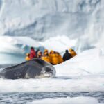 南極三島深度遊 (自由行套票)【20日19夜】 - Deposit / 訂金