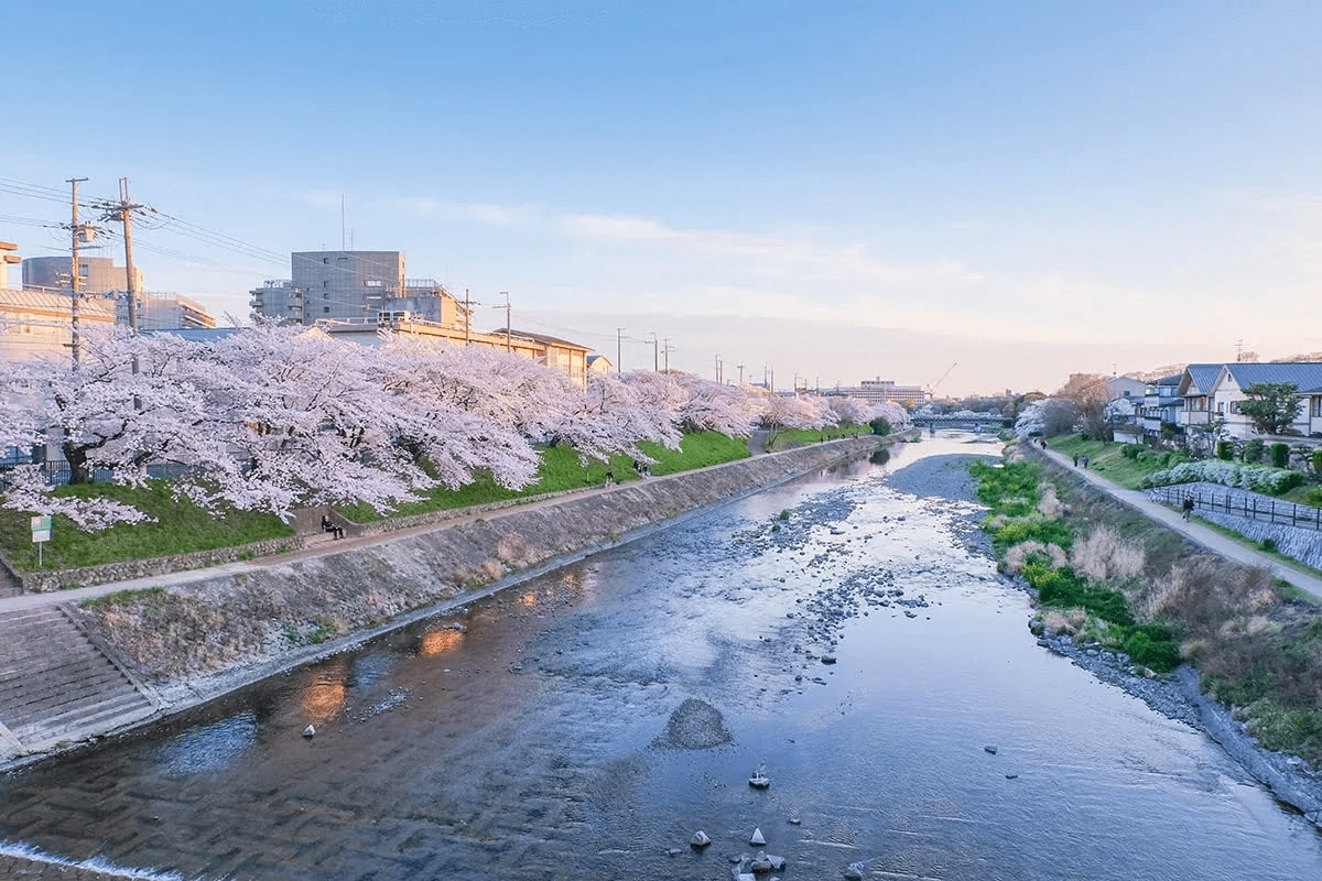 鴨川 Kamo River