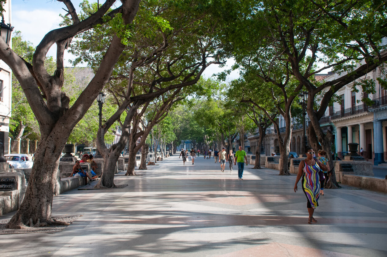 普拉多⼤道 Paseo del Prado