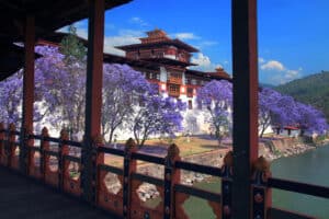 不丹九月策秋節深度遊【6日5夜】直航來回