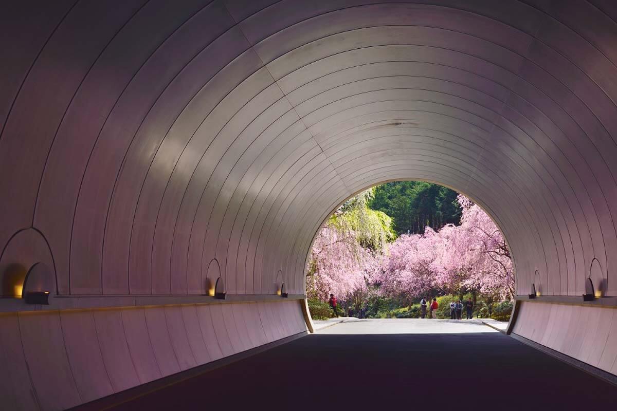 美秀博物館 Miho Museum