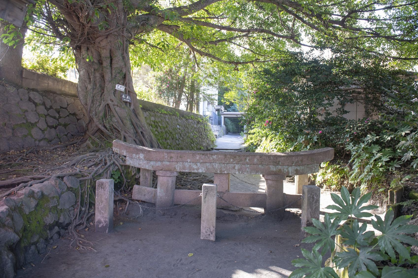 黑神埋沒鳥居 Kurokami Buried Shrine Gate