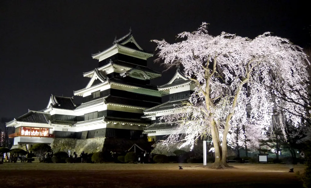 此團有機會參與⁠松本城夜櫻會