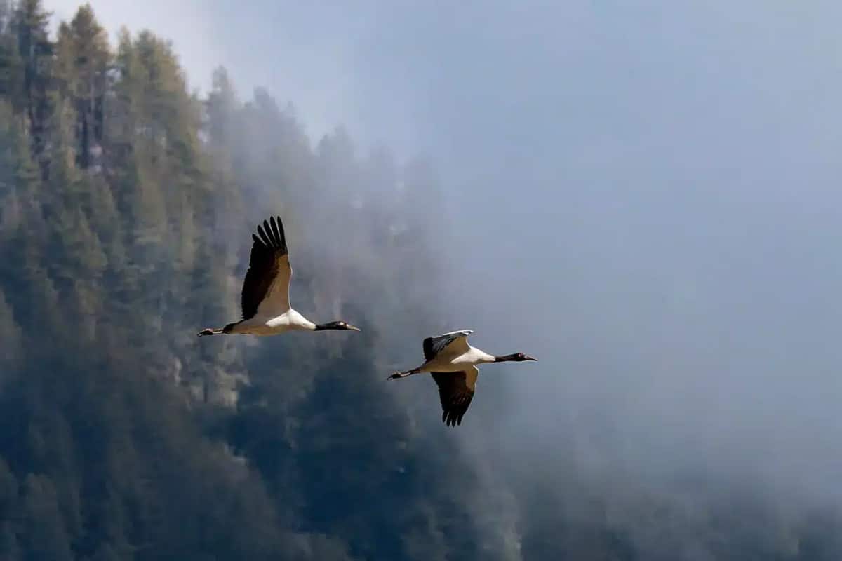 Bhutan07