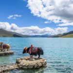 西藏六月下旬深度遊【8日7夜】 (2026) - Deposit / 訂金