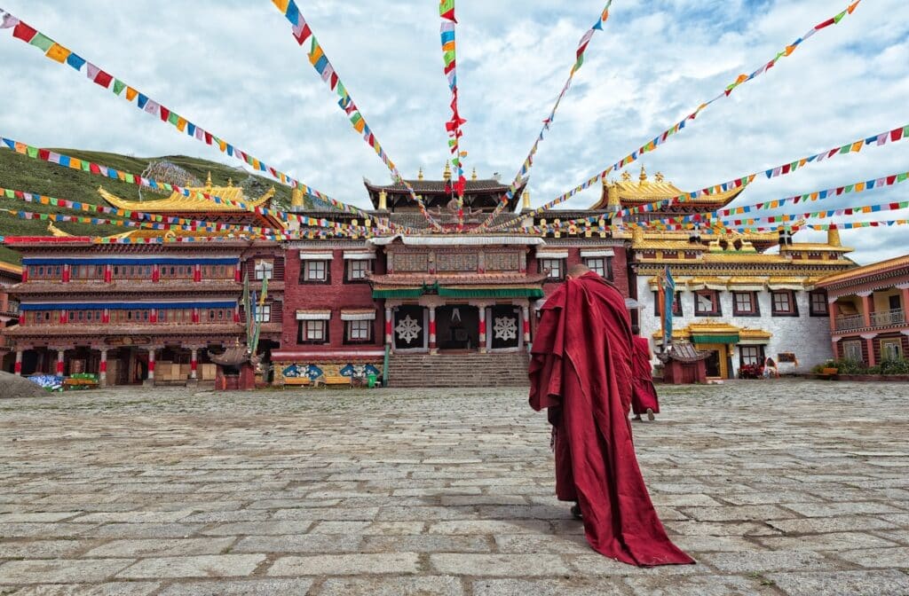 lama going towards the temple