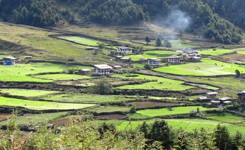 崗堤自然步行徑 Gangtey - Phobjikha Nature Trail