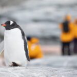 南極三月深度遊【11日10夜】 (2027） - Deposit / 訂金