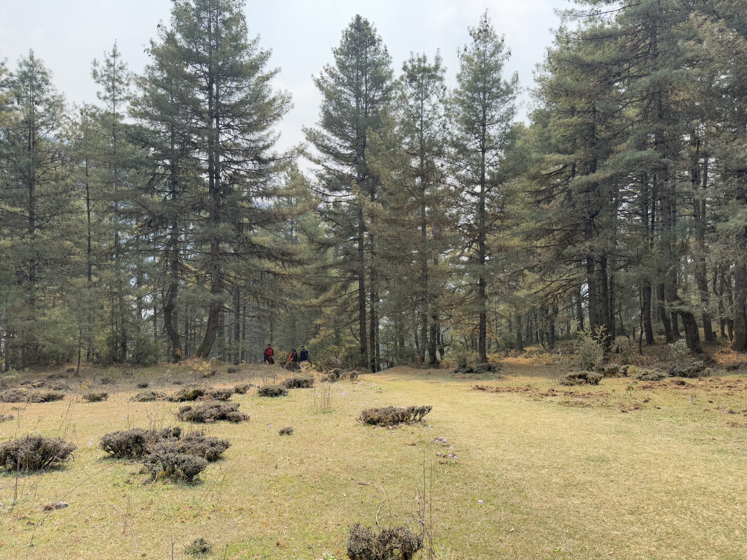 前往崗堤—富吉卡自然步行徑，，在遼闊的山谷與濕地之間輕鬆健行