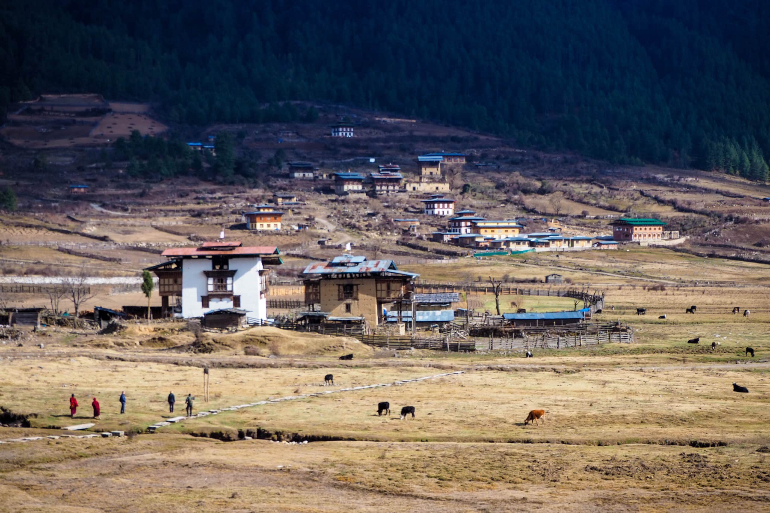 bhutan-gangtey-phobjikha-valley-farm