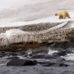 北極冷岸群島深度遊【11日10夜】（2026） - Deposit / 訂金