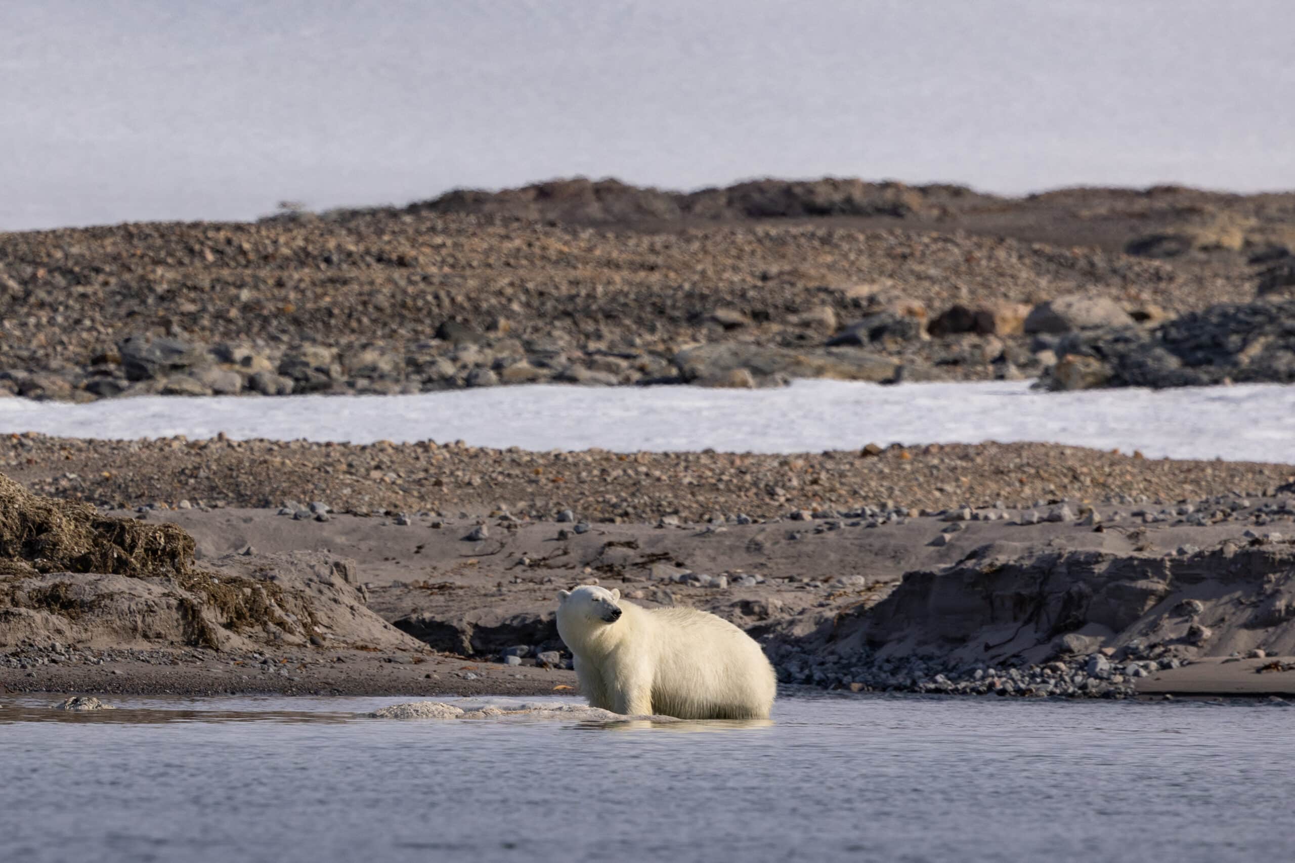 探索斯匹次卑爾根島 Exploring Spitsbergen