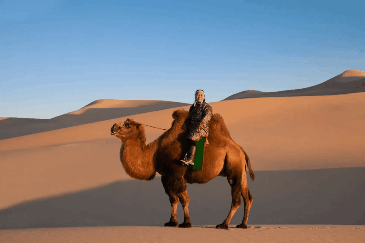 深入巴彥戈壁沙丘，沙丘之間騎乘騎駱駝緩緩遊走，置身大漠滾滾沙塵。