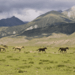 中亞中秋四國遊【15日14夜】(2026) - Deposit / 訂金