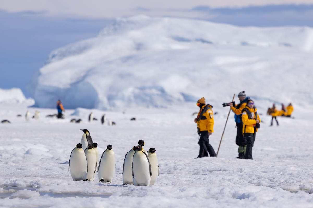工作人員會在每個登陸點設置路徑，讓我們冰川健行