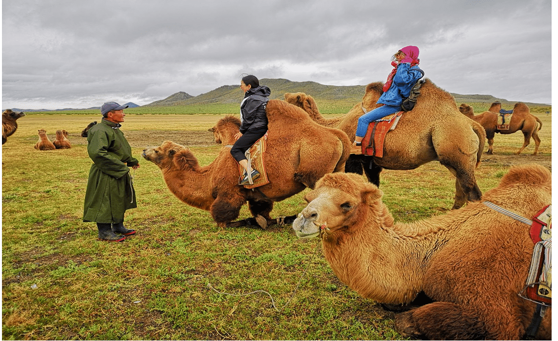 騎乘駱駝體驗 Camel Riding Experience