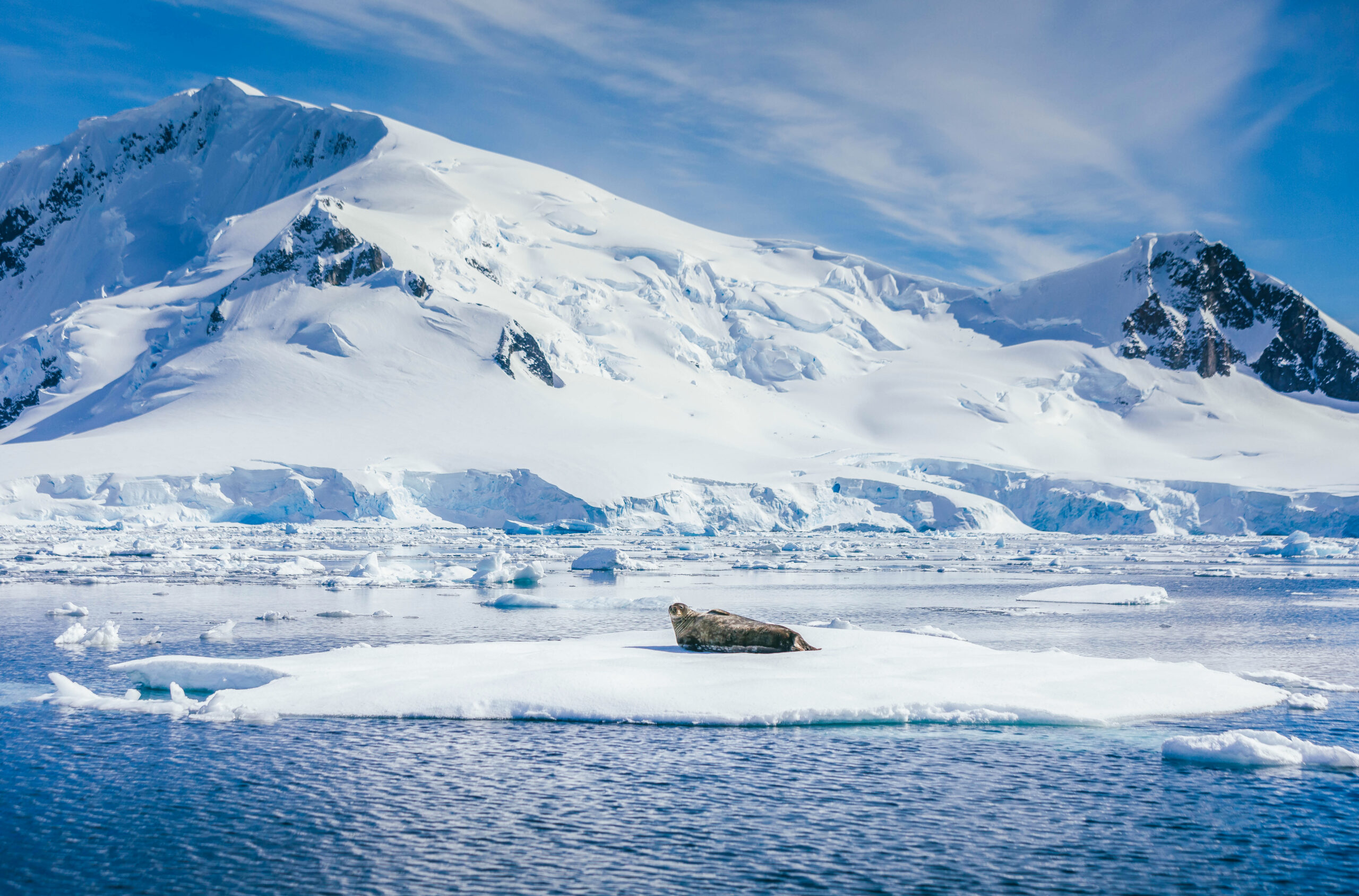 到訪南極半島 Antarctic Peninsula