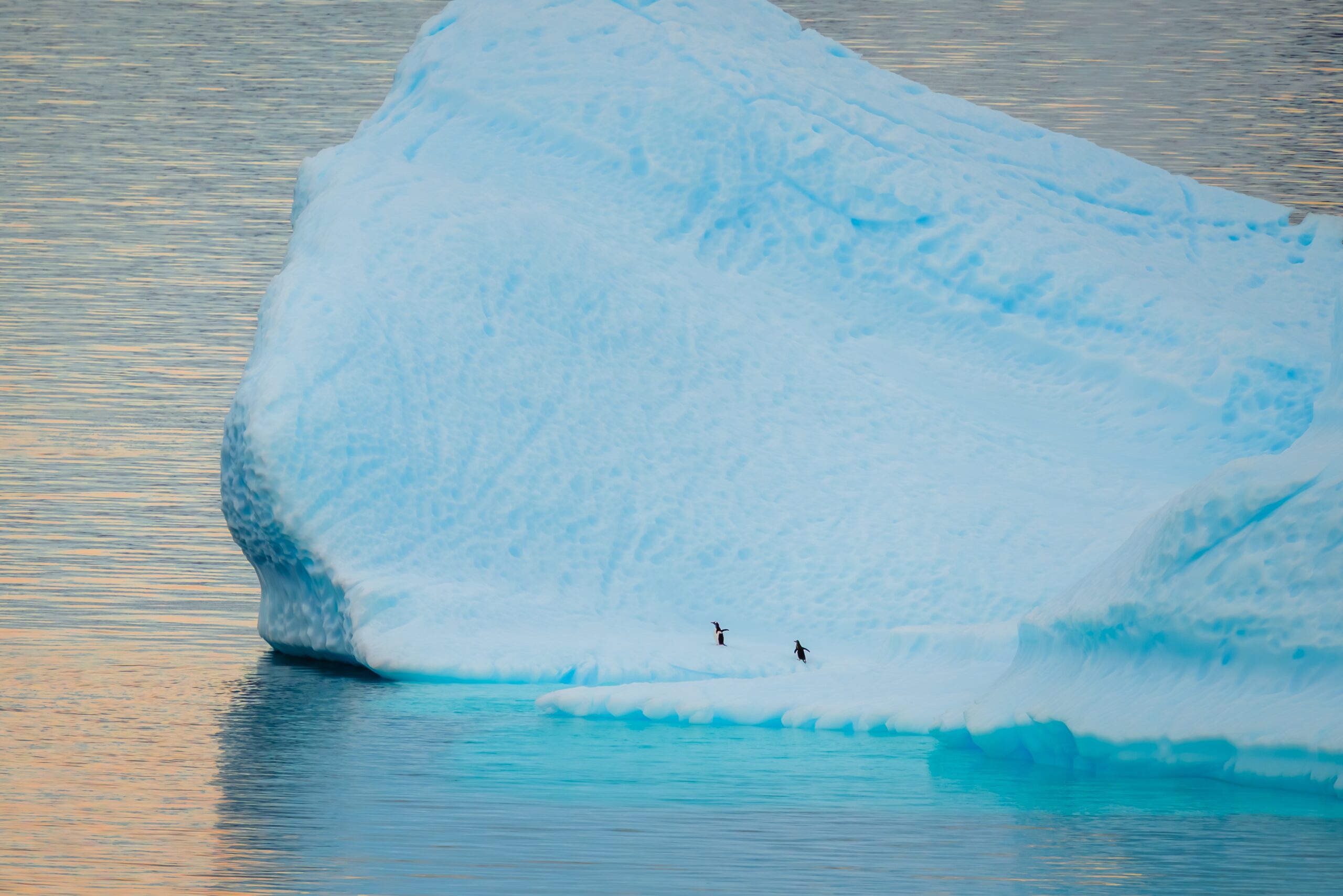 穿過德雷克海峽 Drake Passage，返回威廉斯港Puerto Williams